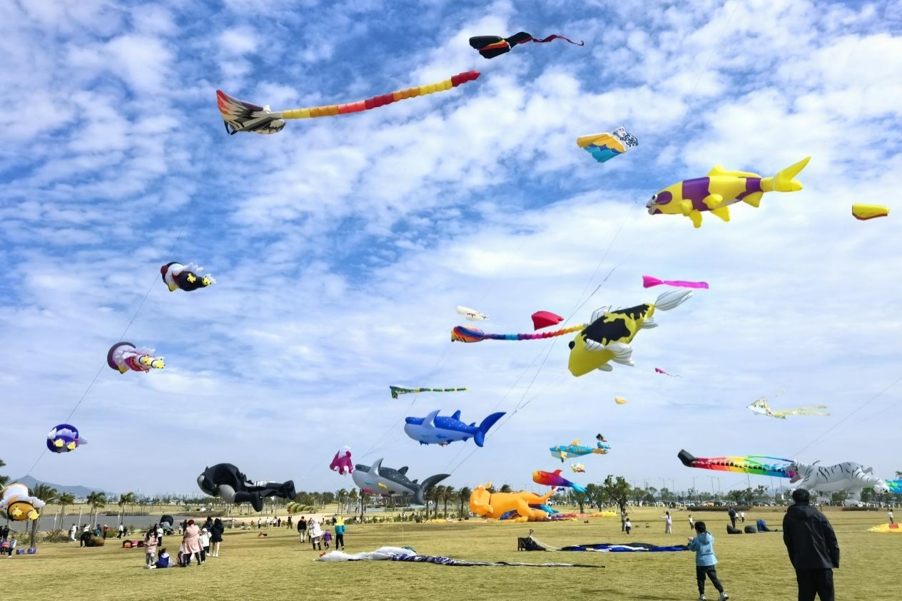 潮涌金湾，活力续航！2025中国时尚体育季（珠海站）圆满收官