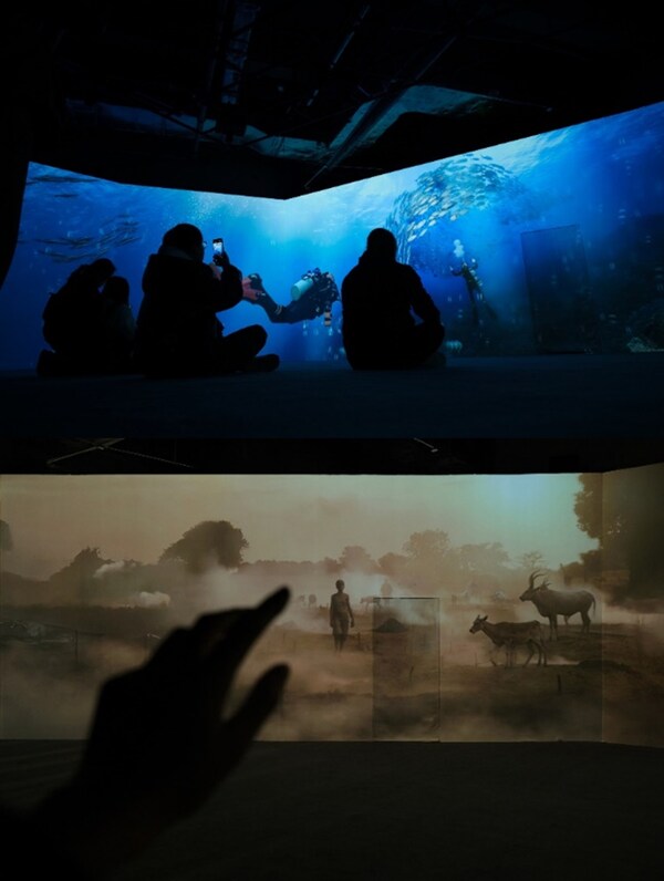 富士胶片沉浸式光影秀全国巡展首站启幕杭州 引领沉浸影像新体验