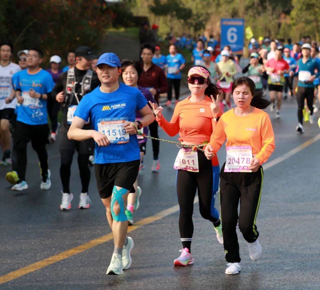 2026龙游半程马拉松新闻发布会顺利召开