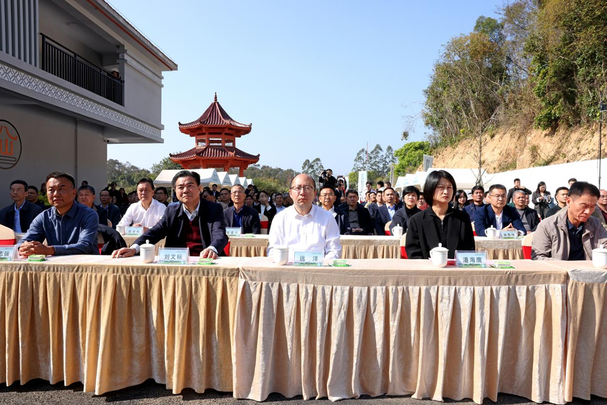 八仙春茶启 丹诏美茗扬——诏安八仙茶产业高质量发展推介会暨2026年春茶开采仪式圆满举行
