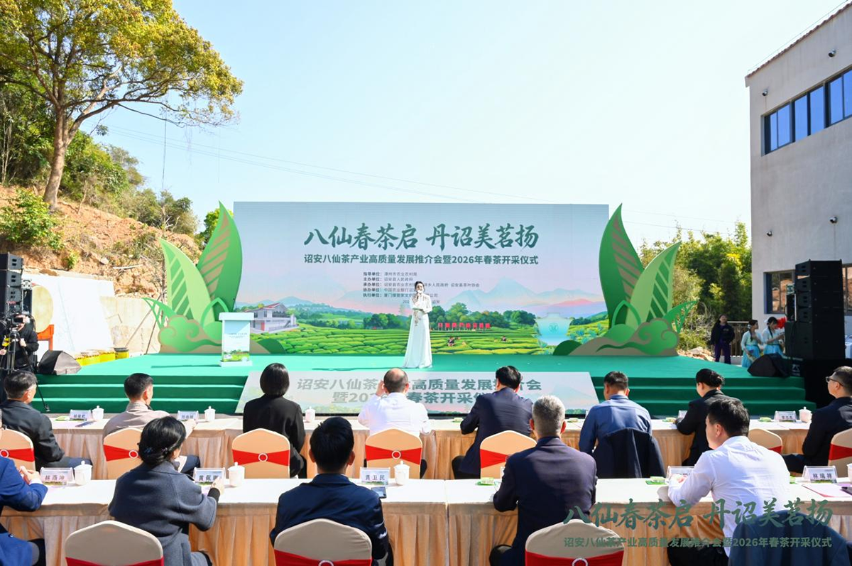 八仙春茶启 丹诏美茗扬——诏安八仙茶产业高质量发展推介会暨2026年春茶开采仪式圆满举行
