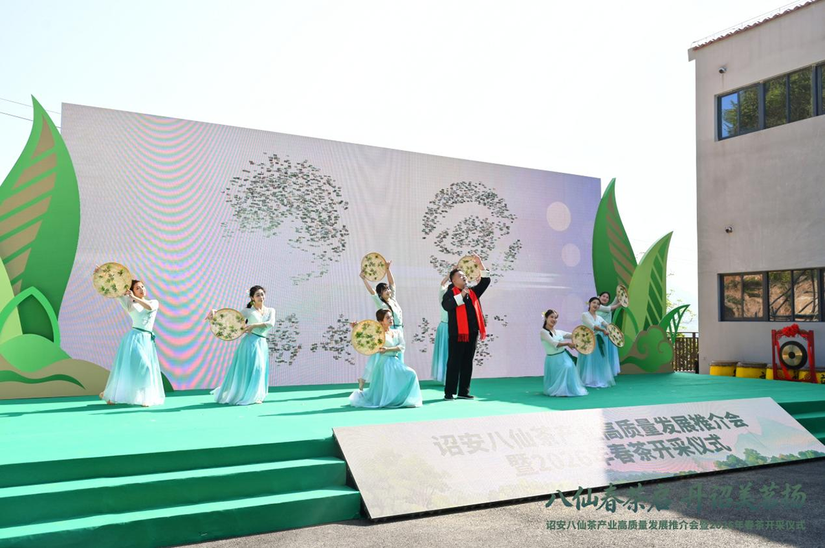 八仙春茶启 丹诏美茗扬——诏安八仙茶产业高质量发展推介会暨2026年春茶开采仪式圆满举行