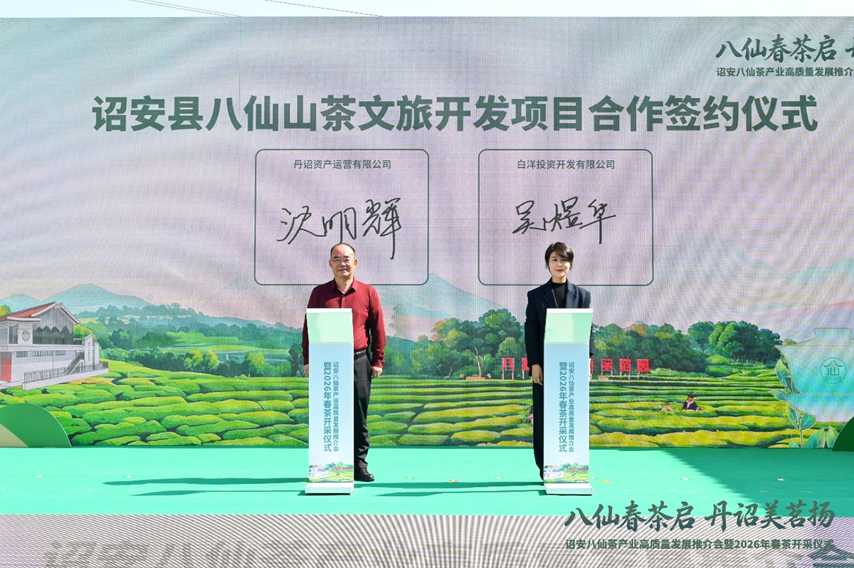 八仙春茶启 丹诏美茗扬——诏安八仙茶产业高质量发展推介会暨2026年春茶开采仪式圆满举行