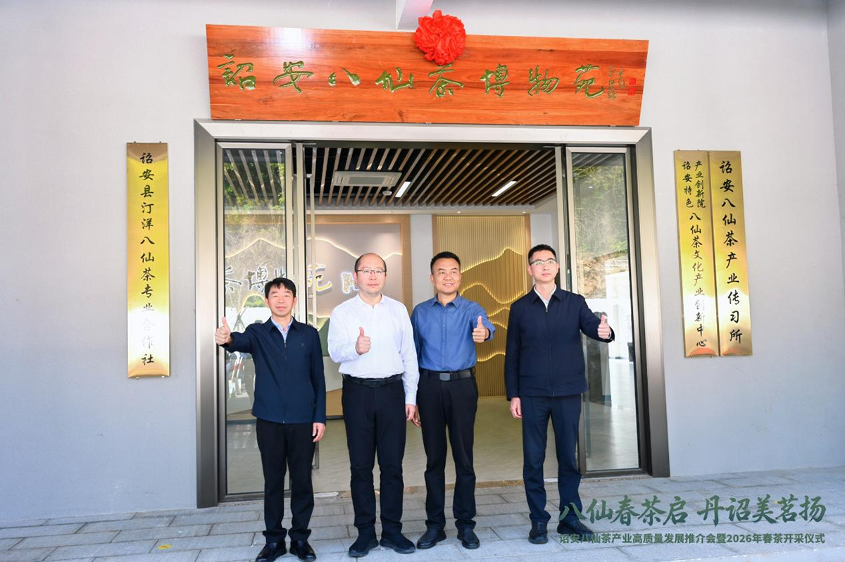 八仙春茶启 丹诏美茗扬——诏安八仙茶产业高质量发展推介会暨2026年春茶开采仪式圆满举行