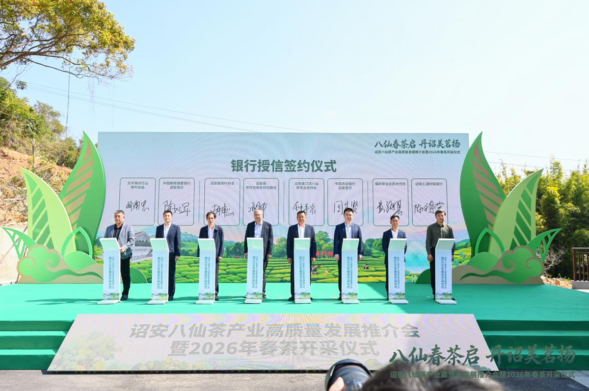 八仙春茶启 丹诏美茗扬——诏安八仙茶产业高质量发展推介会暨2026年春茶开采仪式圆满举行