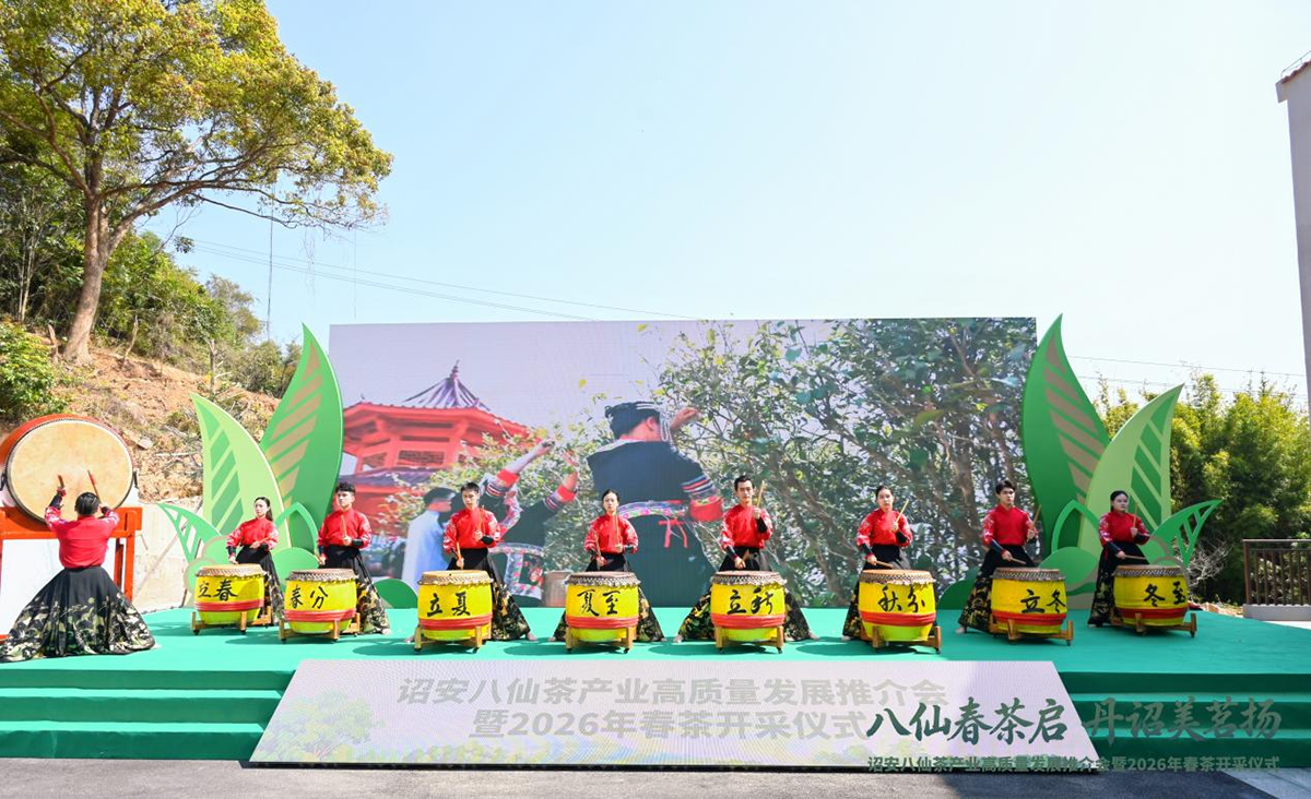 八仙春茶启 丹诏美茗扬——诏安八仙茶产业高质量发展推介会暨2026年春茶开采仪式圆满举行