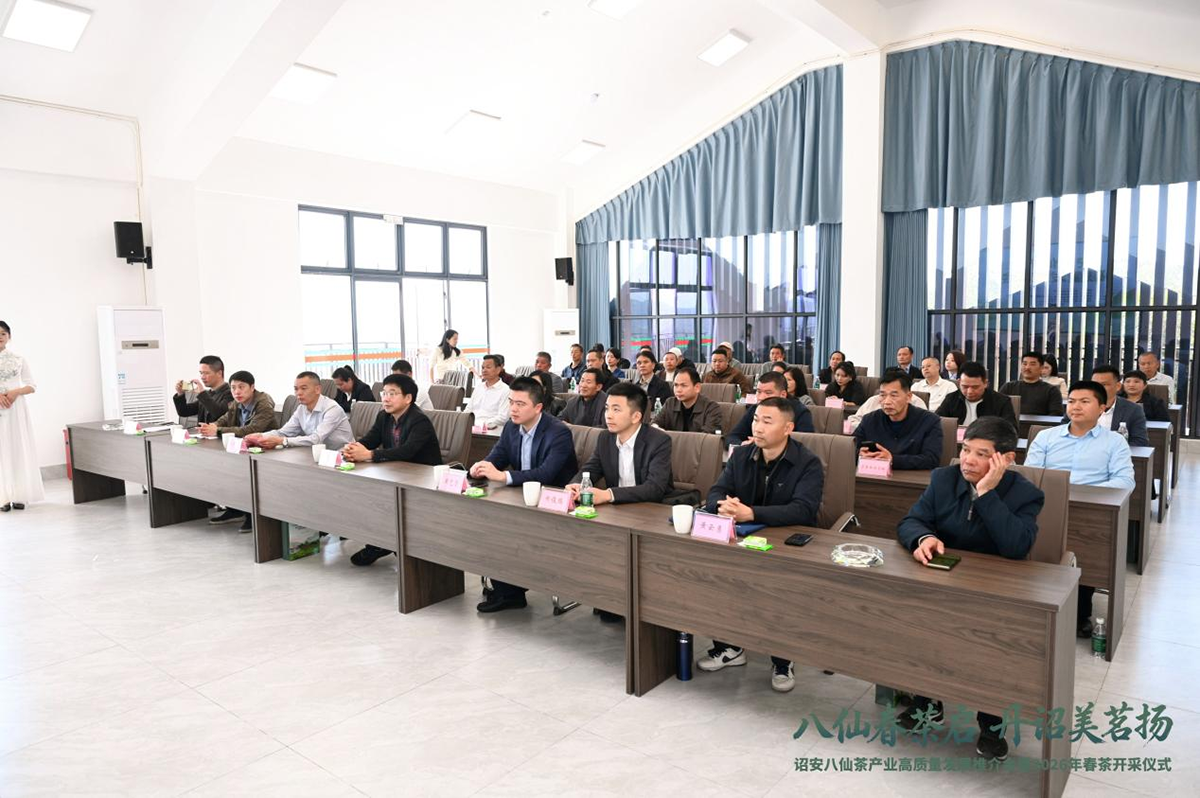 八仙春茶启 丹诏美茗扬——诏安八仙茶产业高质量发展推介会暨2026年春茶开采仪式圆满举行