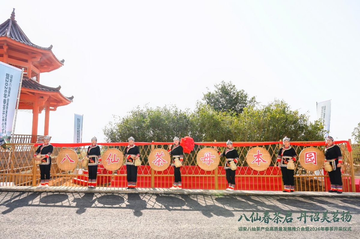 八仙春茶启 丹诏美茗扬——诏安八仙茶产业高质量发展推介会暨2026年春茶开采仪式圆满举行