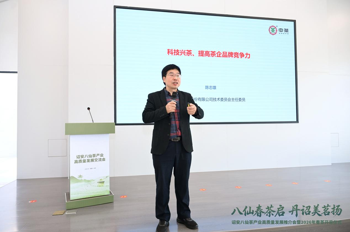 八仙春茶启 丹诏美茗扬——诏安八仙茶产业高质量发展推介会暨2026年春茶开采仪式圆满举行